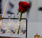 Запахи в нашей жизни. Ольфакторная история