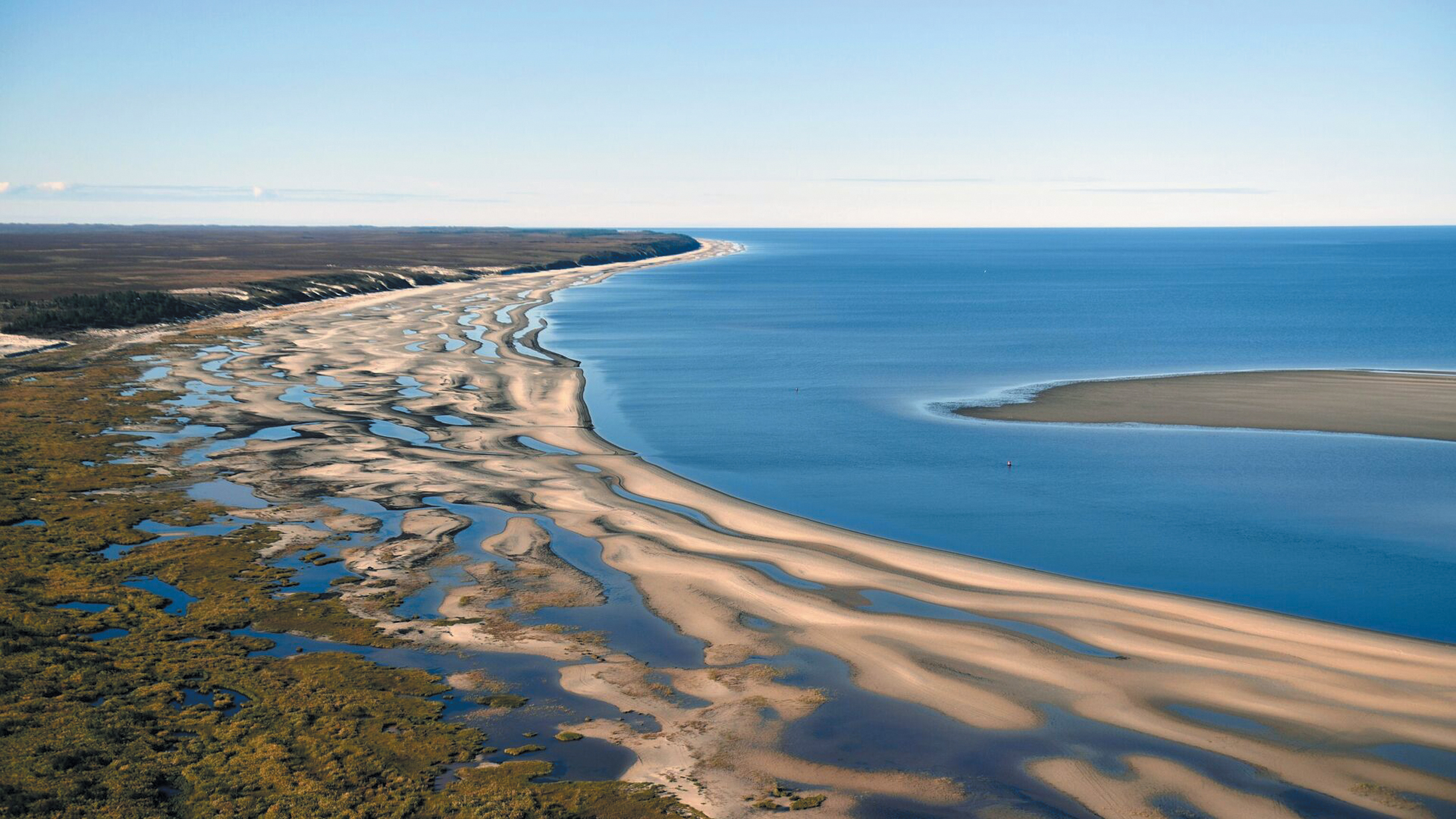 Берег Обской губы в лесотундре. Источник https://news.store.rambler.ru/.