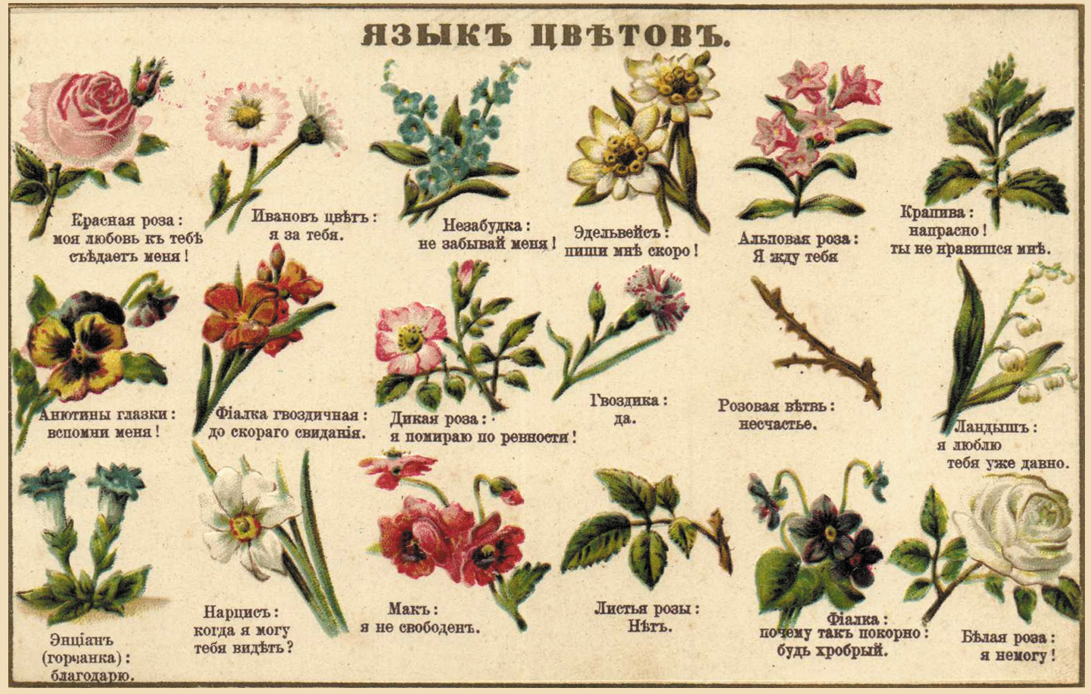 Иллюстрация из книги Д. П. Ознобишина &laquo;Селам, или язык цветов&raquo;. Источник: http://www.pugachev-studio.ru/.