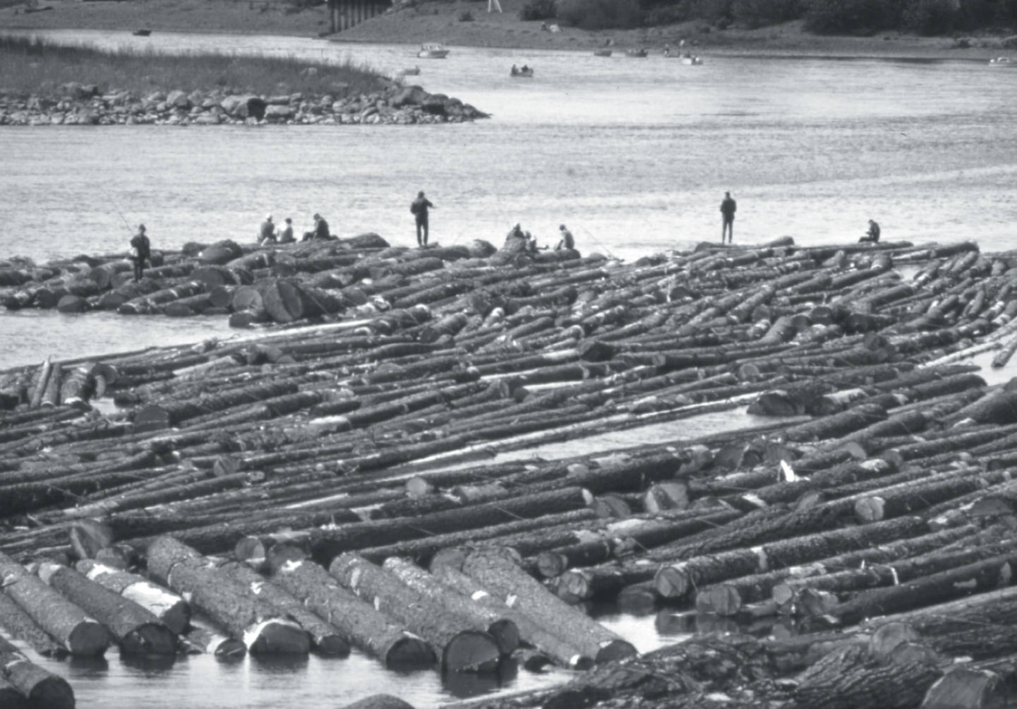 Молевой сплав леса. Источник https://sportishka.com/.